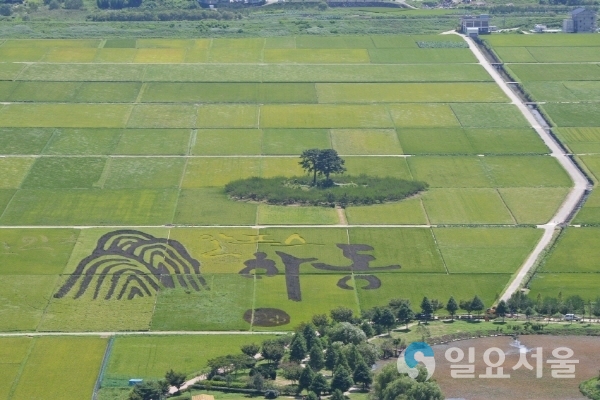 평사리 들녁아트