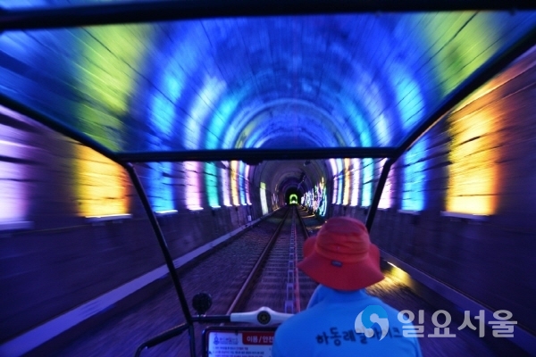 레일바이크