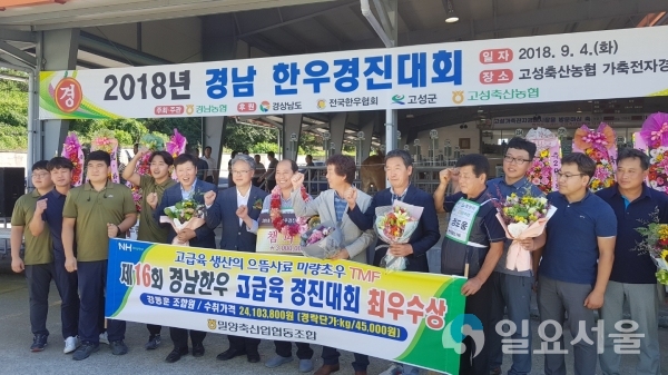 2018경남한우경진대회 최우수상(지난9.5일 고성가축시장) @ 경상남도 제공