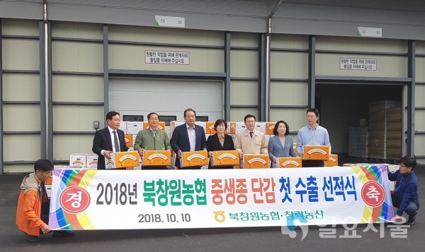 창원 단감, 올해 첫 수출 시작 @ 창원시 제공