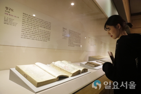 영남대학교박물관 개관 50주년 특별전에서 고산자 김정호의 청구도를 감상하고 있는 영남대 학생. 사진제공=영남대