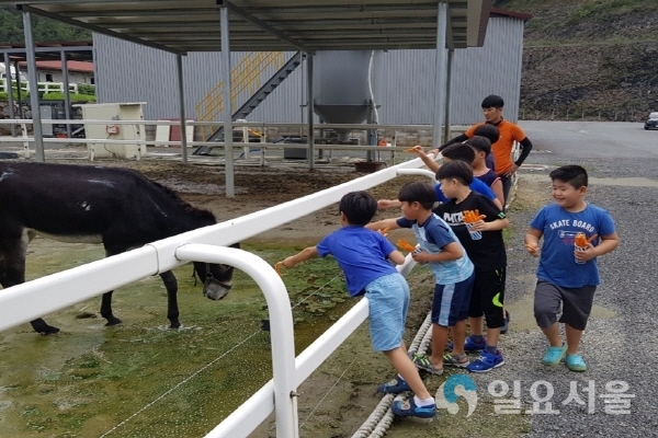 함안군 도농한마음 그린투어 @ 함안군 제공