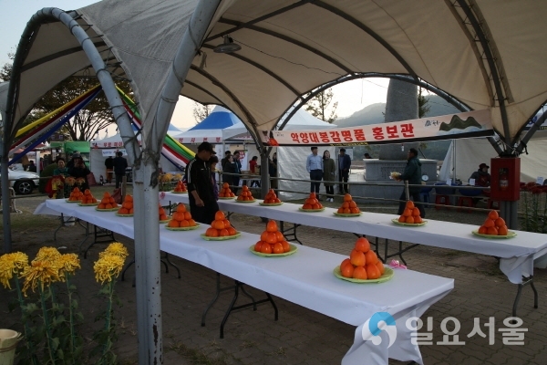 하동 악양 평사리공원 제19회 대봉감축제 사진 @ 하동군 제공