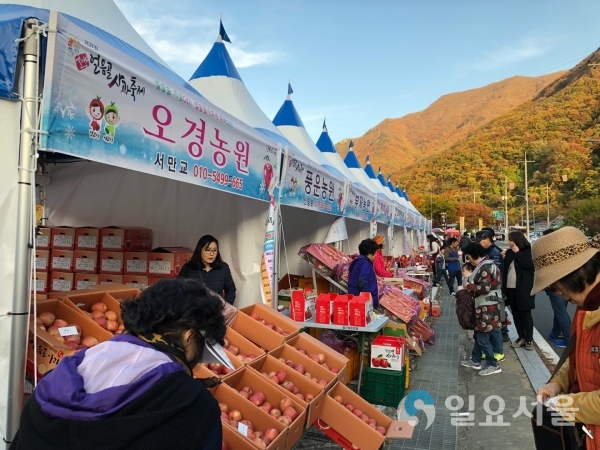 제21회 밀양얼음골 사과축제 @ 밀양시 제공