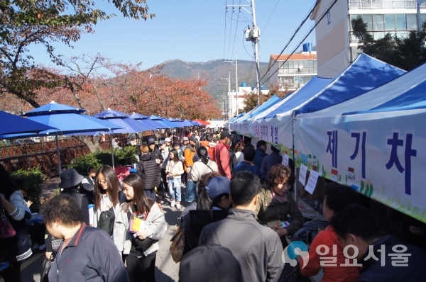 여좌천‘들썩 들썩’축제 @ 창원시 제공