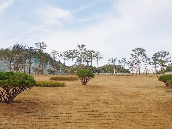 한티교차로 도시숲.