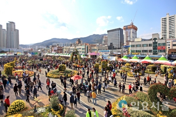 마산가고파국화축제, 사람이 꽃보다 많아 @ 창원시 제공