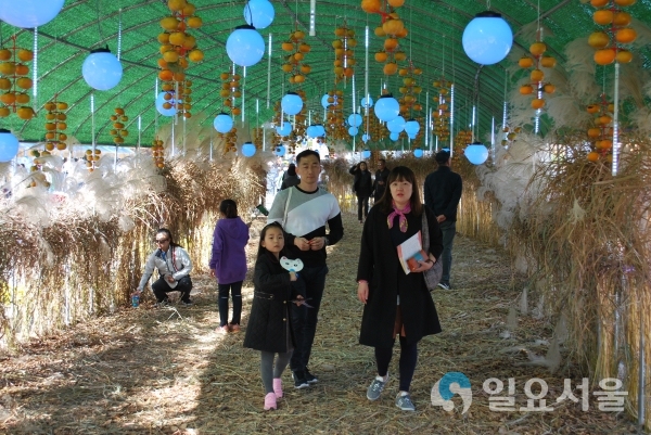 제34회 김해 진영단감축제 @ 김해시 제공