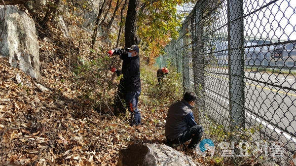 생초면 도로변 인화물질 제거 산불예방 @ 산청군 제공