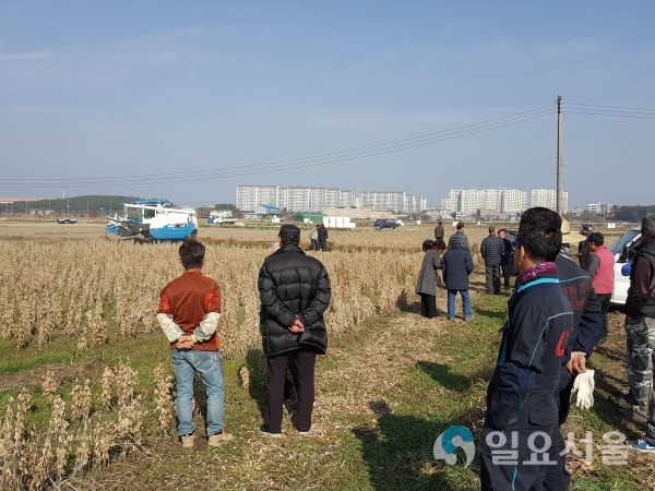 사천시 최고 품질 콩 수확 시연회 @ 사천시 제공