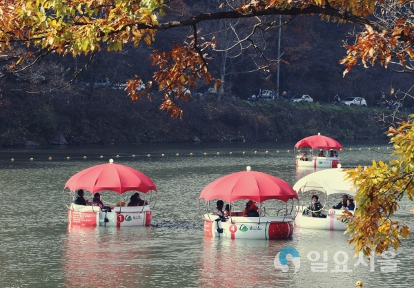 아라힐링카페 이용객 1만명 돌파 @ 함안군 제공