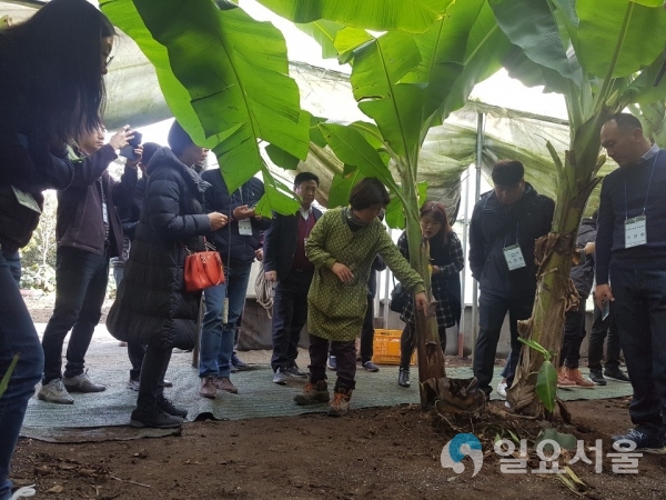 6차 산업화 전략 발굴을 위한 현장사례를 공유 @ 경상남도농업기술원 제공