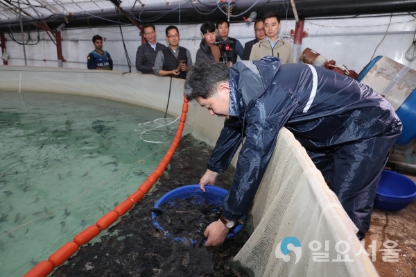 고성산 수산종자 ‘대왕범바리’ 국내 최초 수출 @ 고성군 제공