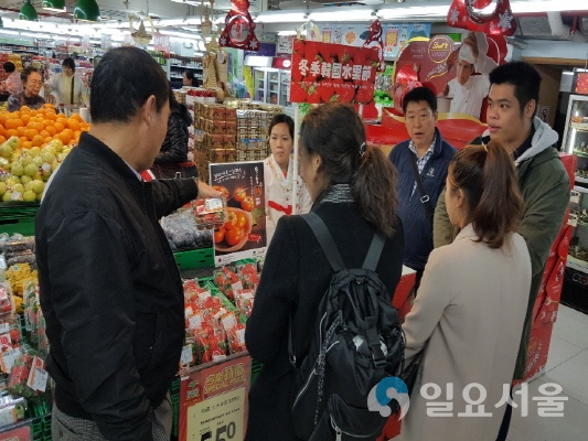 마카오가 반한 김해 한림딸기 @ 김해시 제공