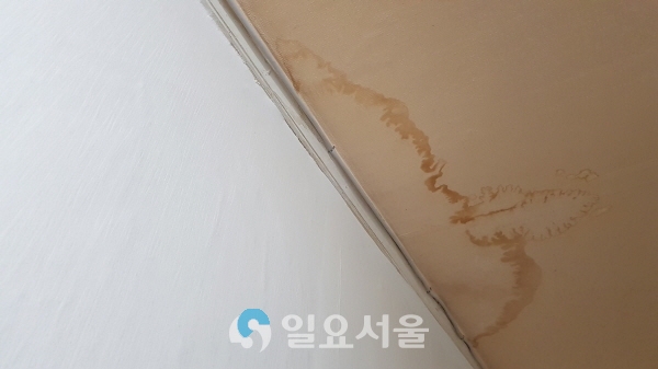 B(60·남)씨 집에서 발생한 천장누수 모습