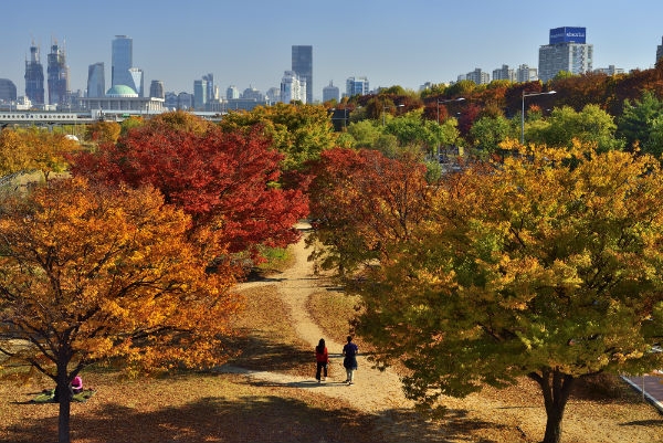 최우수작 (사진=서울시 제공)