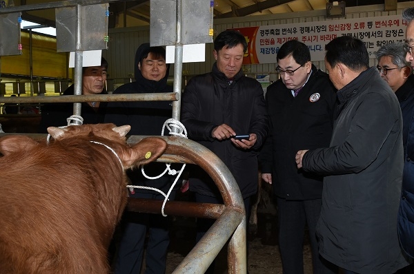 주낙영 경주시장이 3일 새벽 가축시장을 찾아 관계자들과 한우에 관해 대화를 나누고 있다.