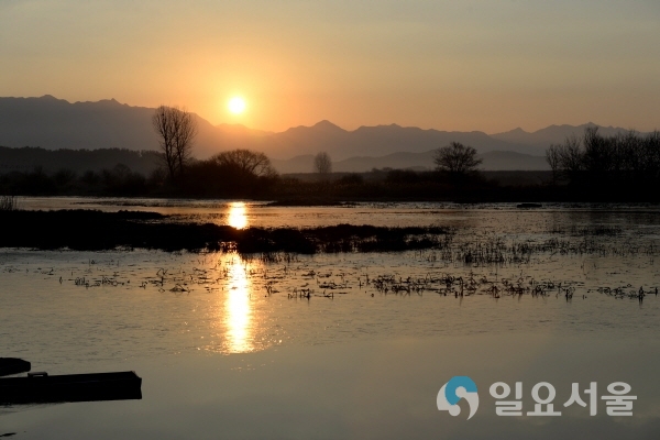 우포늪 겨울 해돋이 @ 창녕군 제공