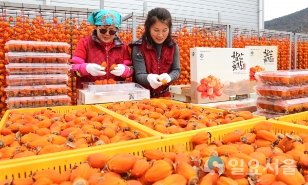 함안곶감 @ 함안군 제공