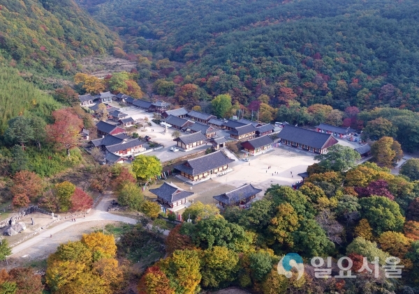 표충사 전경 @ 밀양시 제공