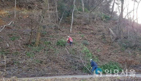 아산4지구 급경사지 정비사업 현장 @ 남해군 제공