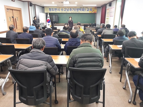 청도군이 15일 청도반시 수고 낮추기 교육을 실시했다.