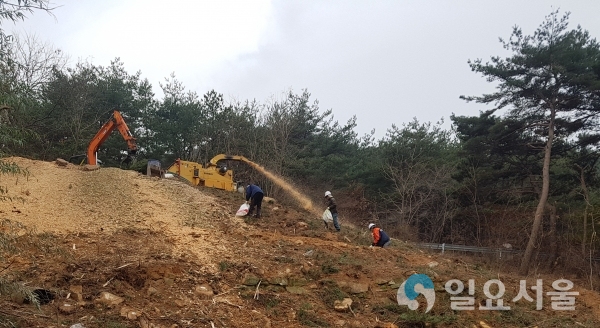 소나무재선충병 방제 구슬땀 자료사진 @ 산청군 제공