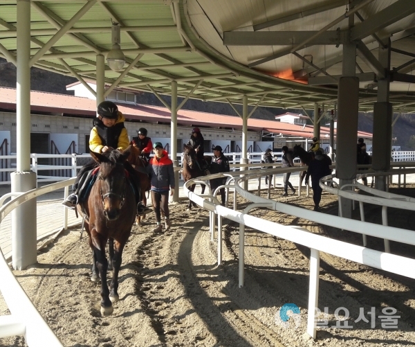설연휴 함안승마장 운영 © 함안군 제공