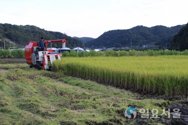 쌀밭조건불리 직불금 통합 신청 접수 © 진주시 제공