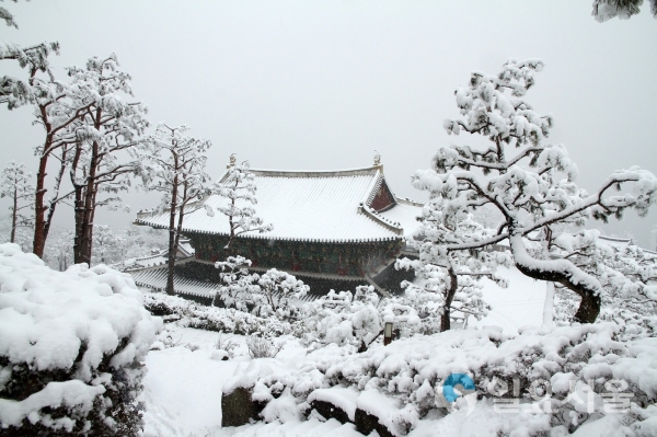 산청 동의보감촌 설경 눈 내린 동의전 뒤편 © 산청군 제공
