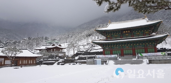 산청군 동의보감촌 설경 눈 내린 동의전 앞마당 © 산청군 제공