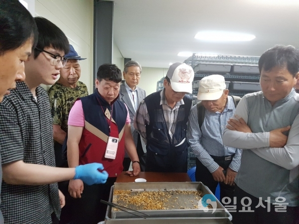 곤충창업사관학교