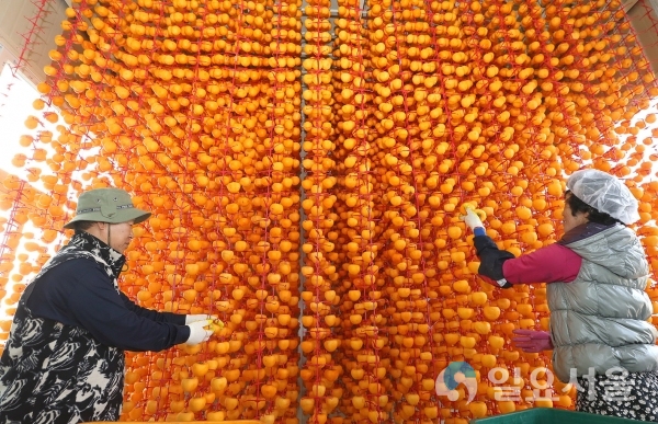 산청군 임산물 농림축산식품사업 신청하세요 © 산청군 제공