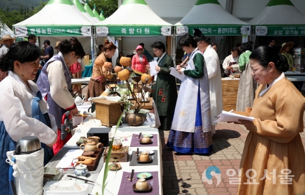 야생차 문화축제 © 하동군 제공