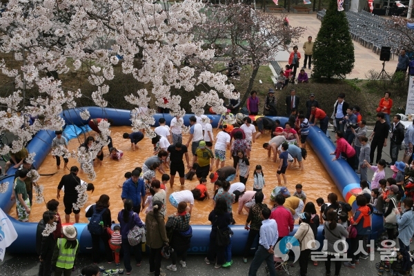 부곡온천축제서 관광객들이 ‘황토 노천탕 속 보물찾기’를 하고 있다. © 창녕군 제공