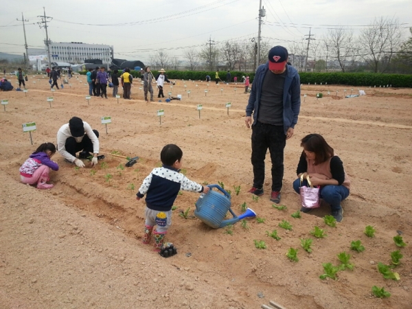 텃밭농장 아이