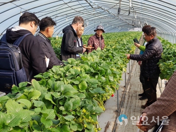 해외전문가에게 듣는 시설딸기 봄철 관리 © 경남도 농업기술원 제공