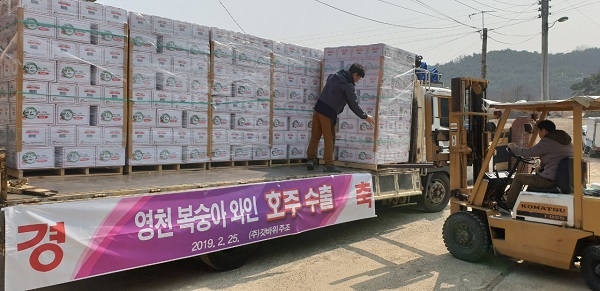 영천 복숭아와인이 호주(멜버른)과 내년까지 20만 달러 수출 계약을 체결하고 지난 25일 1차 선적을 시작으로 매회 2만 달러씩 순차적으로 수출한다.