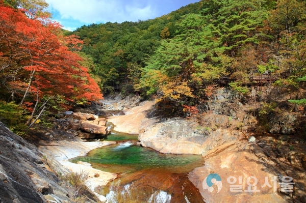 산청군 대원사 생태탐방로의 가을 © 산청군 제공