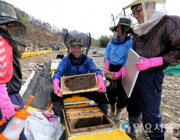 산청군 양봉작업 자료사진 © 산청군 제공