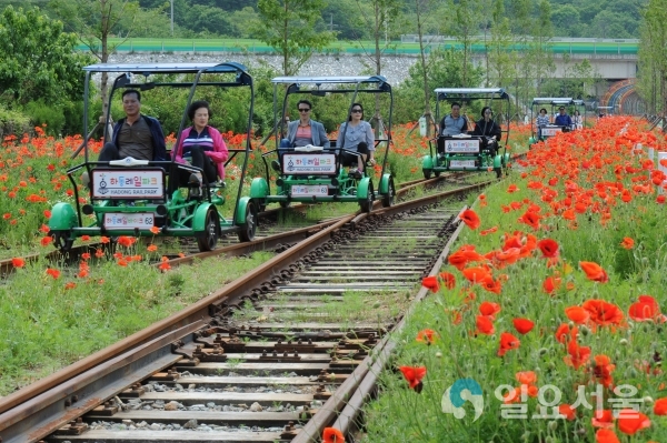 양귀비축제 © 경상남도 제공