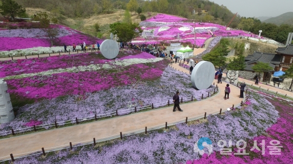 산청생초국제조각공원꽃잔디축제 © 경상남도 제공