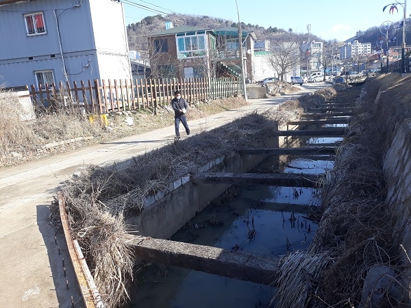 영양군 보건소가 하절기 모기발생 선제적 대응 위해 3월부터 4월까지 관내 6개 읍면 월동모기 주요 서식지 및 방역 취약지에 유충구제 집중 방역을 실시한다.