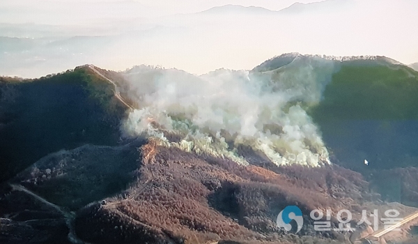 진강산 산불현장