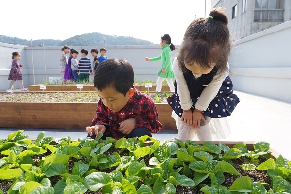 (사진제공=동구청)
