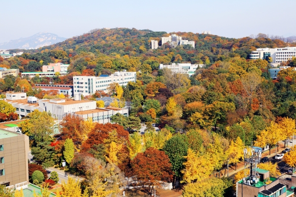 이번에 숲길이 조성되는 천장산 전경
