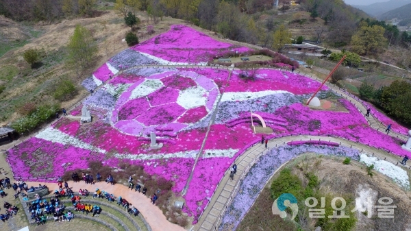 산청 생초 국제조각공원 꽃잔디축제 전경 © 산청군 제공