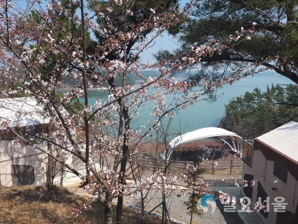 비토국민여가캠핑장 © 사천시 제공