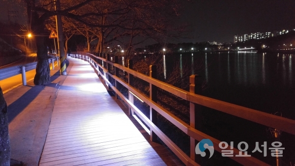 공원등 미설치 데크 340m에 LED경관조명기구 79개 추가설치 © 진주시 제공