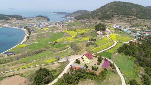 청산도 도락리 슬로길 항공 전경